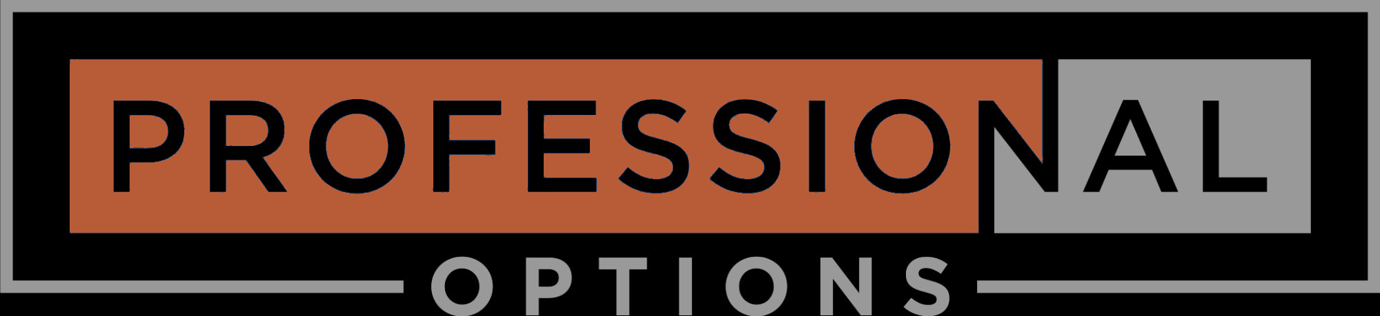 Professional Options LLC